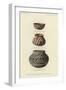 Food Bowls and Vases from Pueblo Viejo, Upper Gila Valley, Arizona-null-Framed Giclee Print