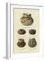 Food Bowls from Chevlon, Homolobi and Four-Mile, Arizona-null-Framed Giclee Print