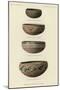 Food Bowls from Four-Mile Ruin, Arizona-null-Mounted Giclee Print