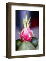 Food buffet in a restaurant, fresh fruits and dragon fruit, Dalat, Vietnam, Indochina-Godong-Framed Photographic Print