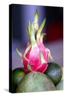 Food buffet in a restaurant, fresh fruits and dragon fruit, Dalat, Vietnam, Indochina-Godong-Stretched Canvas