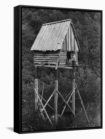 Food Cache away from bears in Alaska Photograph - Alaska-Lantern Press-Framed Stretched Canvas