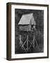 Food Cache away from bears in Alaska Photograph - Alaska-Lantern Press-Framed Art Print