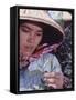 Food: Chinese Woman Picking Shoots from a Tea Plant-Michael Rougier-Framed Stretched Canvas