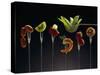 Food for Fondue-Herbert Maass-Stretched Canvas