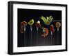 Food for Fondue-Herbert Maass-Framed Photographic Print