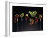 Food for Fondue-Herbert Maass-Framed Photographic Print