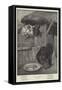 Food for Reflection-William Weekes-Framed Stretched Canvas
