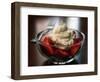 Food Healthy Yogurt Cheese, Concord, New Hampshire-Larry Crowe-Framed Photographic Print