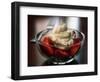 Food Healthy Yogurt Cheese, Concord, New Hampshire-Larry Crowe-Framed Photographic Print