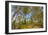 Food Pack Hanging in the Wilderness-wildnerdpix-Framed Photographic Print