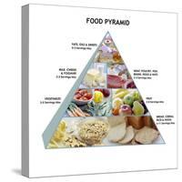 Food Pyramid-David Munns-Stretched Canvas