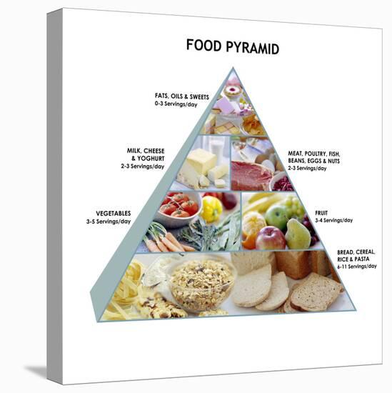 Food Pyramid-David Munns-Stretched Canvas