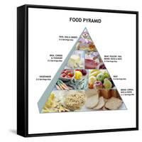 Food Pyramid-David Munns-Framed Stretched Canvas