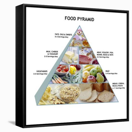 Food Pyramid-David Munns-Framed Stretched Canvas