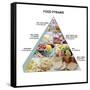 Food Pyramid-David Munns-Framed Stretched Canvas