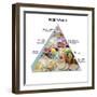 Food Pyramid-David Munns-Framed Premium Photographic Print