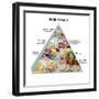Food Pyramid-David Munns-Framed Premium Photographic Print