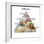 Food Pyramid-David Munns-Framed Premium Photographic Print