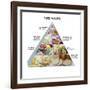 Food Pyramid-David Munns-Framed Photographic Print