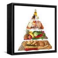 Food Pyramid-egal-Framed Stretched Canvas