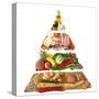 Food Pyramid-egal-Stretched Canvas
