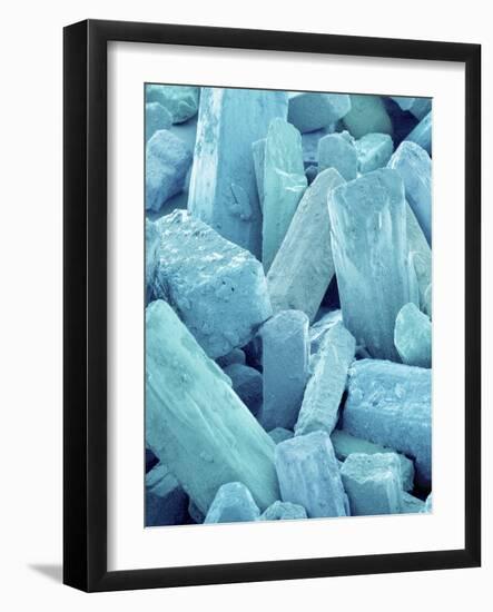 Food Seasoning-Micro Discovery-Framed Photographic Print