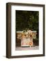 Food stand in a park, Campo De San Francisco, Oviedo, Asturias Province, Spain-null-Framed Photographic Print
