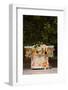 Food stand in a park, Campo De San Francisco, Oviedo, Asturias Province, Spain-null-Framed Photographic Print