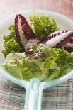 Assorted Salad Leaves in Plastic Strainer-Foodcollection-Photographic Print