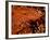 Foods - Desserts - Chocolate-Philippe Hugonnard-Framed Photographic Print