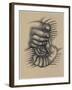 Foot and Hands-null-Framed Giclee Print