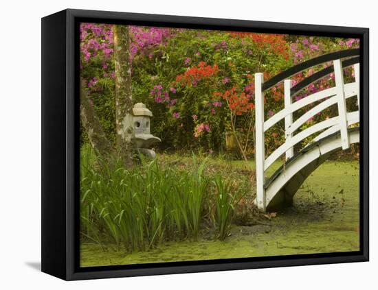 Foot Bridge in Garden, Magnolia Plantation, Charleston, South Carolina, USA-Corey Hilz-Framed Stretched Canvas