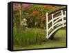 Foot Bridge in Garden, Magnolia Plantation, Charleston, South Carolina, USA-Corey Hilz-Framed Stretched Canvas