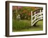 Foot Bridge in Garden, Magnolia Plantation, Charleston, South Carolina, USA-Corey Hilz-Framed Photographic Print