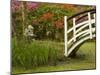 Foot Bridge in Garden, Magnolia Plantation, Charleston, South Carolina, USA-Corey Hilz-Mounted Photographic Print