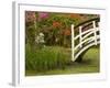 Foot Bridge in Garden, Magnolia Plantation, Charleston, South Carolina, USA-Corey Hilz-Framed Photographic Print