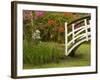 Foot Bridge in Garden, Magnolia Plantation, Charleston, South Carolina, USA-Corey Hilz-Framed Photographic Print