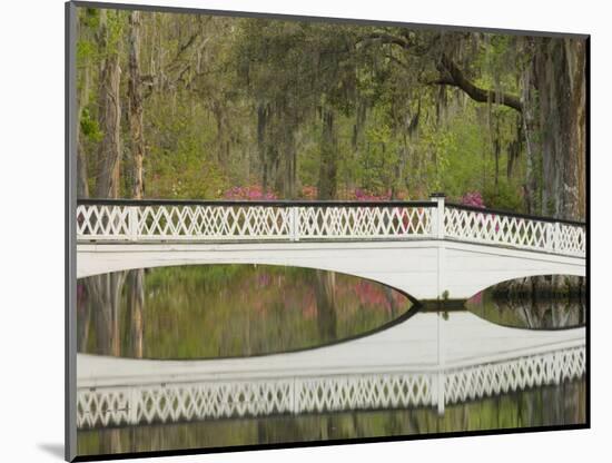 Foot Bridge with Azaleas and Spanish Moss, Magnolia Plantation, Charleston, South Carolina, USA-Corey Hilz-Mounted Photographic Print