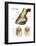 Foot or Hoof of a Horse. Mammal, Biology-Encyclopaedia Britannica-Framed Poster