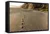 Foot Prints in the Sand Patterns on the Beach, Cape Blanco Sp, Oregon-Chuck Haney-Framed Stretched Canvas