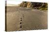 Foot Prints in the Sand Patterns on the Beach, Cape Blanco Sp, Oregon-Chuck Haney-Stretched Canvas