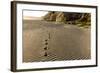 Foot Prints in the Sand Patterns on the Beach, Cape Blanco Sp, Oregon-Chuck Haney-Framed Photographic Print