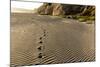 Foot Prints in the Sand Patterns on the Beach, Cape Blanco Sp, Oregon-Chuck Haney-Mounted Photographic Print
