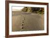Foot Prints in the Sand Patterns on the Beach, Cape Blanco Sp, Oregon-Chuck Haney-Framed Photographic Print