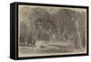 Foot-Race at Bayswater-Harrison William Weir-Framed Stretched Canvas