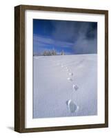 Foot Steps in the Snow, Kandel Mountain, Black Forest, Baden Wurttemberg, Germany, Europe-Marcus Lange-Framed Photographic Print