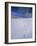 Foot Steps in the Snow, Kandel Mountain, Black Forest, Baden Wurttemberg, Germany, Europe-Marcus Lange-Framed Photographic Print