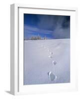 Foot Steps in the Snow, Kandel Mountain, Black Forest, Baden Wurttemberg, Germany, Europe-Marcus Lange-Framed Photographic Print