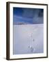 Foot Steps in the Snow, Kandel Mountain, Black Forest, Baden Wurttemberg, Germany, Europe-Marcus Lange-Framed Photographic Print